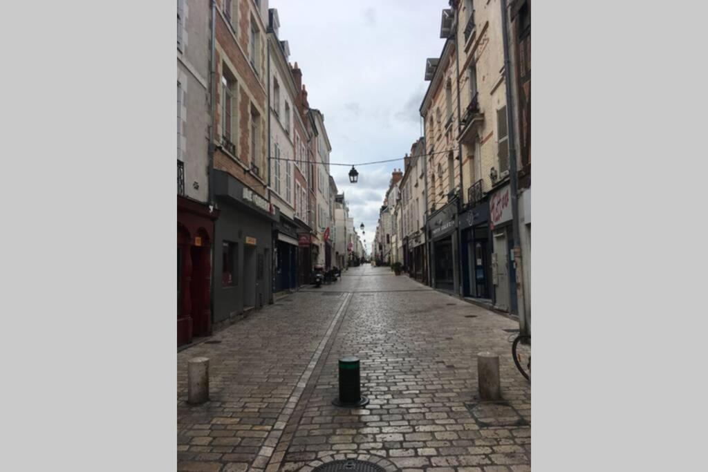 אורליאן Tour De France Historique Et Chateaux De Loire מראה חיצוני תמונה